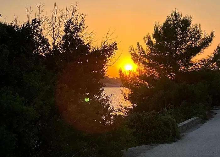 With A View In * Necujam